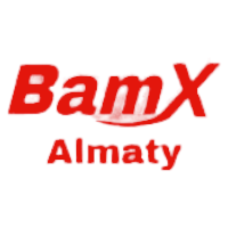 Bamx motors